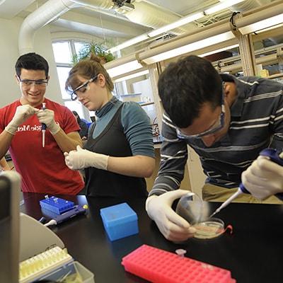 Students participating in an Interdisciplinary Program